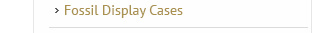 fossil-display-cases