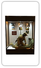 mannequin-showcases012